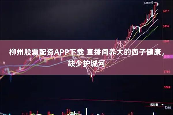 柳州股票配资APP下载 直播间养大的西子健康，缺少护城河