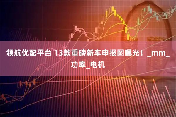 领航优配平台 13款重磅新车申报图曝光！_mm_功率_电机