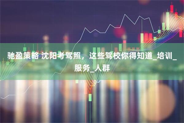 驰盈策略 沈阳考驾照，这些驾校你得知道_培训_服务_人群
