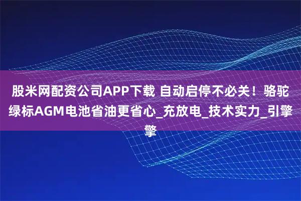 股米网配资公司APP下载 自动启停不必关！骆驼绿标AGM电池省油更省心_充放电_技术实力_引擎