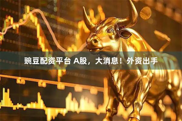 豌豆配资平台 A股，大消息！外资出手