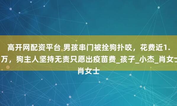 高开网配资平台 男孩串门被拴狗扑咬，花费近1.5万，狗主人坚持无责只愿出疫苗费_孩子_小杰_肖女士