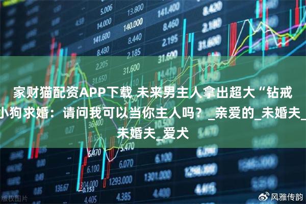 家财猫配资APP下载 未来男主人拿出超大“钻戒”向小狗求婚：请问我可以当你主人吗？_亲爱的_未婚夫_爱犬