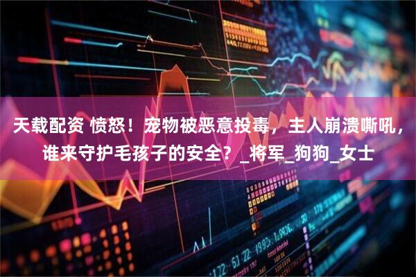 天载配资 愤怒！宠物被恶意投毒，主人崩溃嘶吼，谁来守护毛孩子的安全？_将军_狗狗_女士
