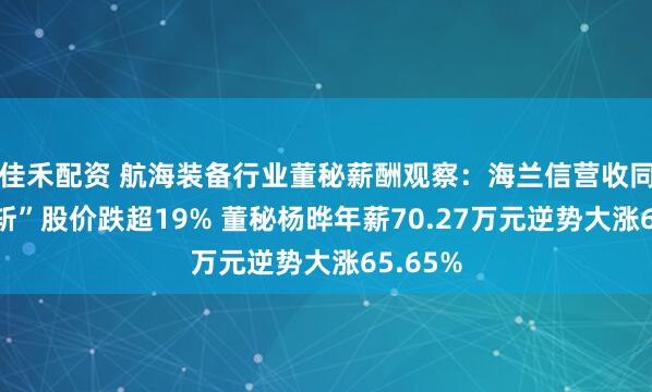 佳禾配资 航海装备行业董秘薪酬观察：海兰信营收同比“腰斩”股价跌超19% 董秘杨晔年薪70.27万元逆势大涨65.65%