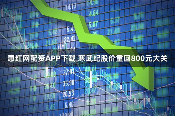 惠红网配资APP下载 寒武纪股价重回800元大关